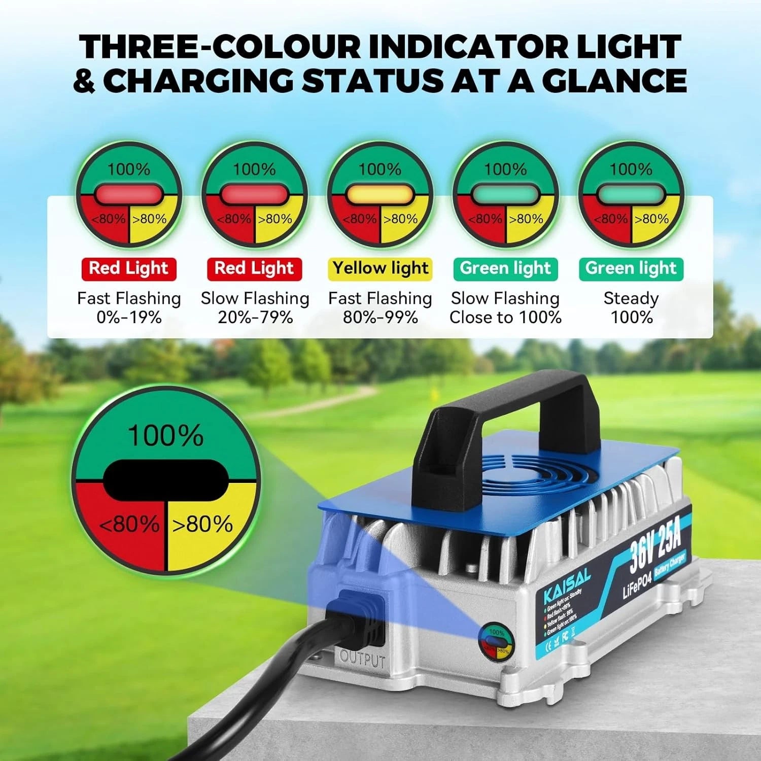 LiFePO4 Battery Charger 36V 25A Lithium Battery Charger for Golf Cart, Forklift