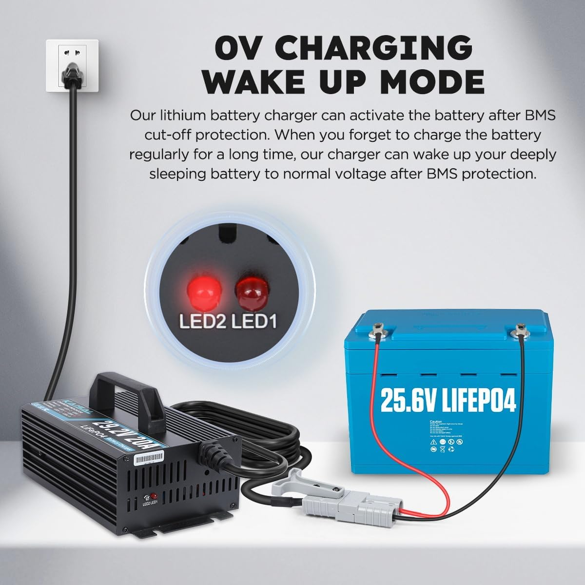 KAISAL 24V 20A Lithium Battery Charger for LiFePO4 - 29.2V with Wake-Up Function, 3 Connectors for RV, Boat, Truck, Marine & Solar Applications