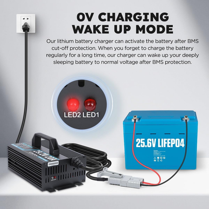 KAISAL 24V 20A Lithium Battery Charger for LiFePO4 - 29.2V with Wake-Up Function, 3 Connectors for RV, Boat, Truck, Marine & Solar Applications