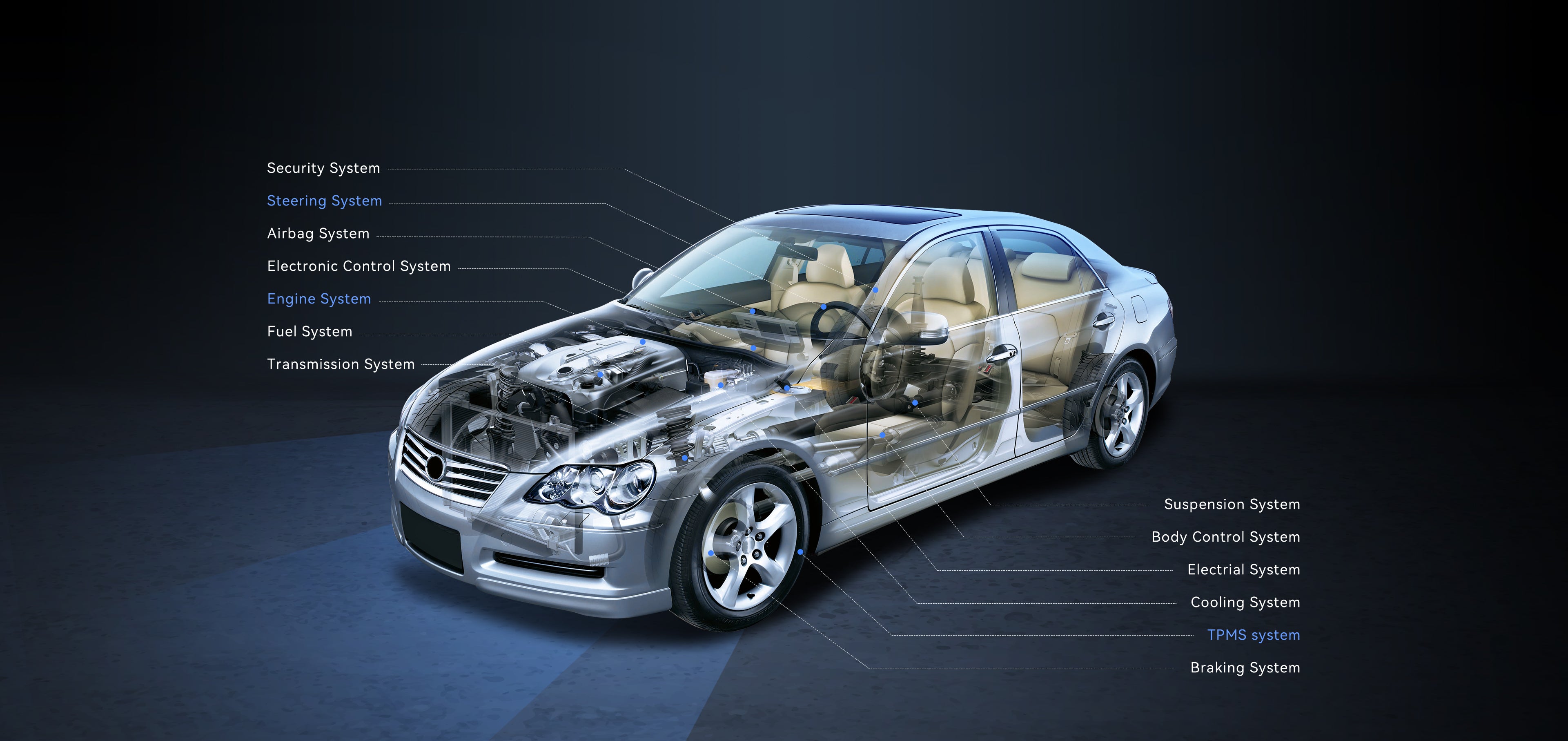 Vehicle cutaway labeling engine, transmission, braking, airbag, body control, TPMS and other systems